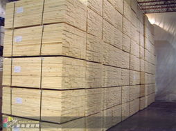 上海建材市場供應優質云杉，助力城市建設與家居裝修